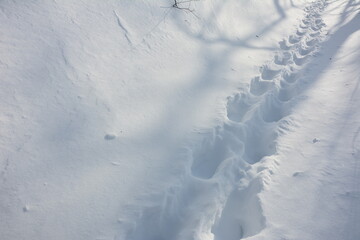 Fototapeta na wymiar Winter scenery - narrow pathway through the deep snow