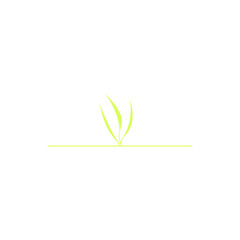 grass isolated on white