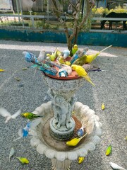 fountain in park guell