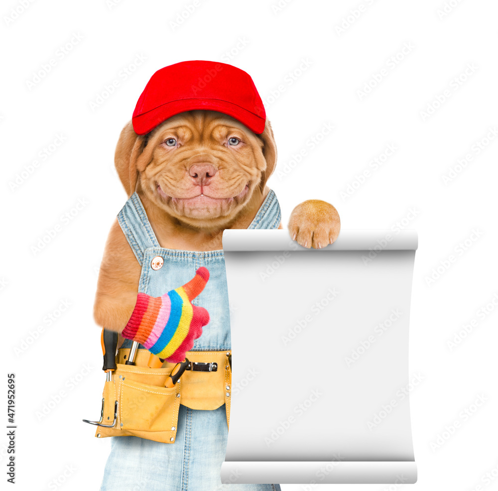 Aufkleber Funny puppy wearing red cap and  overalls with tool belt shows empty list and thumbs up gesture. Isolated on white background