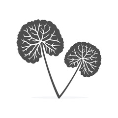 Centella asiatica gotu kola icon health medical herb vector illustration.