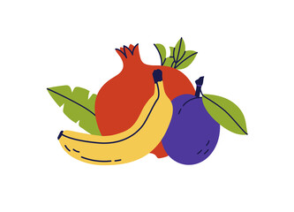 Fruit still life. Banana, plum and pomegranate. Color illustration vector set