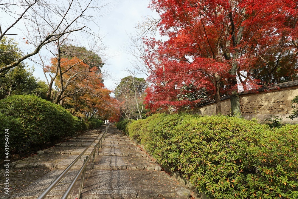 Sticker 京都　真如堂の紅葉