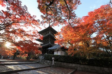 京都　真如堂の紅葉