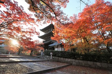 京都　真如堂の紅葉