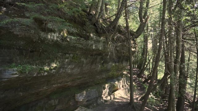 Layered rock cliff in a dense forest; northern Michigan in late summer; pan from rock face to tree grove. 