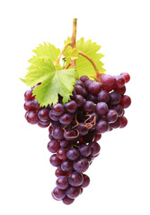 Grapes on a white background