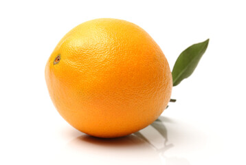 Orange fruit on the white background