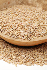 Pearl barley on a white background 