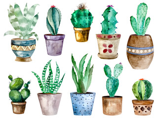 Watercolor cactus and succulent plants in pot. Watercolor individual flower pot