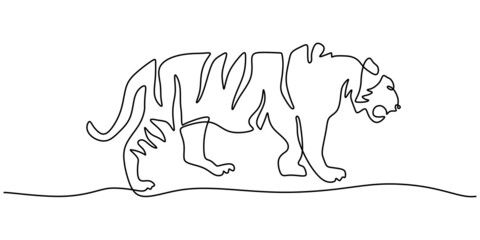 Continuous one line drawing of big Tiger isolated on white background.
