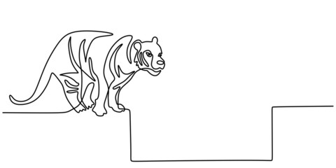 Continuous one line drawing of big Tiger standing ready to jump isolated on white background.