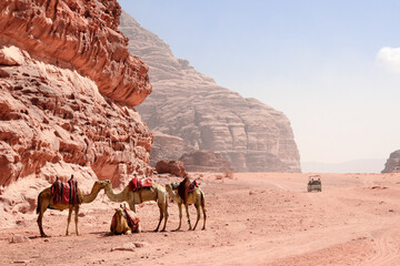 Jeep safari in Wadi Rum desert, Jordan. Tourists in car ride on off-road on sand among the...