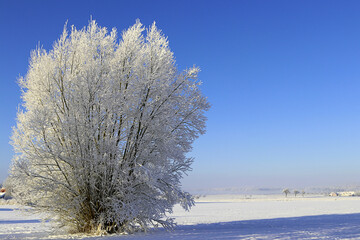 Hintergrund Winter - mit Textfreiraum