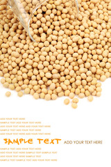 boiled chickpeas on a white background 