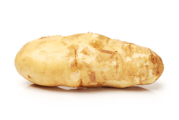 potato isolated on white background