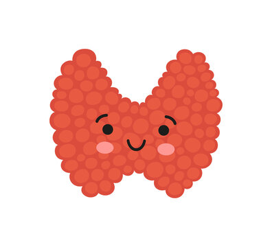 Happy kawaii thyroid gland character. Drawing of a smile thyroid gland. Vector illustration isolated in cartoon style on white background.