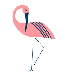 Flamingos. Exotic Tropical Pink Bird characters. Cartoon Hand draw Vector illustration.