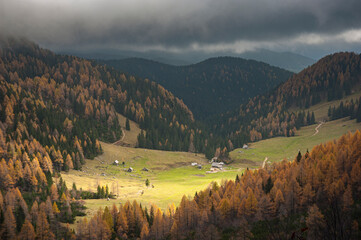 View at Konščica mountain pasture, Pokljuka, Slovenia
