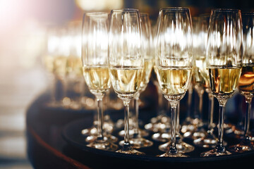 Tray of champagne glasses. Wedding party welcome alcohol. New years eve celebration. Shiny crystal glass event beverage. Plenty of white wine glass. Elegant banquet alcohol.