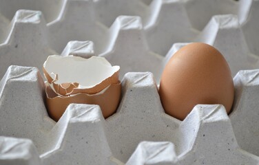 eggs and egg shells in carton