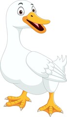 Cartoon duck isolated on white background