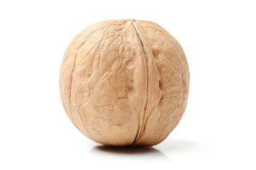 walnuts on white background