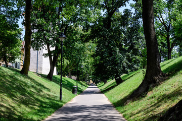 Long alley and green trees in the Citadel Park (Parcul Cetatii), in the historical center of the Sibiu city, in Transylvania (Transilvania) region of Romania, in a sunny summer day.