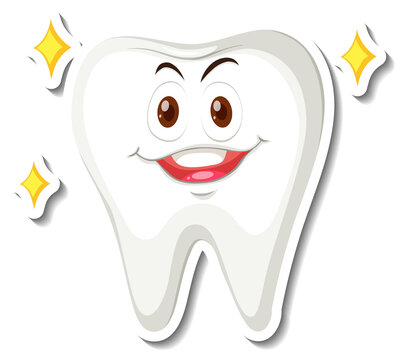 Isolated white tooth on white background