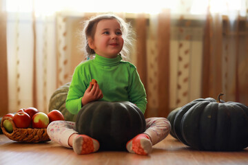 Fototapeta premium Little child choose a pumpkin at autumn. Child sitting on giant pumpkin. Pumpkin is traditional vegetable used on American holidays - Halloween and Thanksgiving Day.