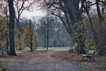 Fototapeta na wymiar Clara Park im Winter, Bank mit Reif, Leipzig, Sachsen, Deutschland