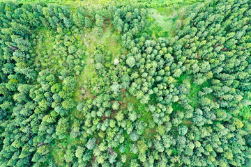 Scenic aerial view flying over the land field.