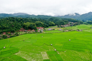 Fototapeta na wymiar plantation field nearby village and mountain in cloudy sky