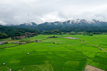 plantation field nearby village and mountain in cloudy sky