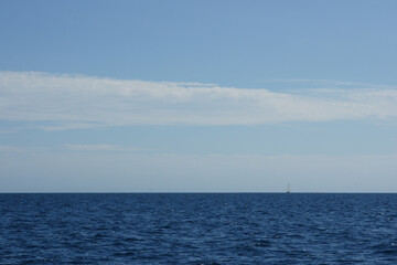 ニューカレドニア