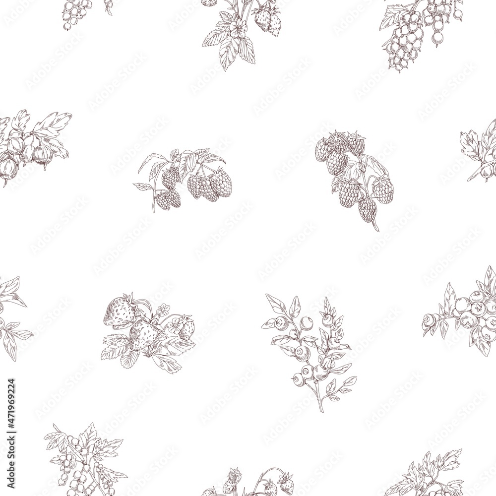Poster Outlined berry branches pattern. Seamless botanical background with vintage drawings of fruit plants. Endless design with repeating print. Hand-drawn vector illustration for wrapping and decoration