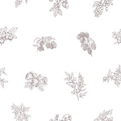 Outlined berry branches pattern. Seamless botanical background with vintage drawings of fruit plants. Endless design with repeating print. Hand-drawn vector illustration for wrapping and decoration