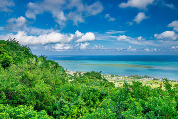 Aerial view of beautiful tropical island, Mauritius.