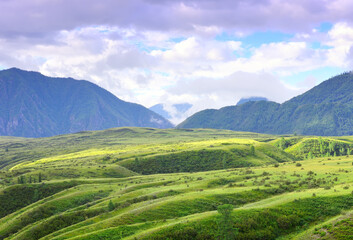 Obraz premium A green valley in the Altai Mountains