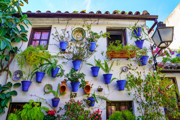 Typical Andalusian facade with flower pots and plants in Córdoba Spain.