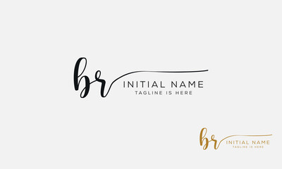 BR RB Signature initial logo template vector

