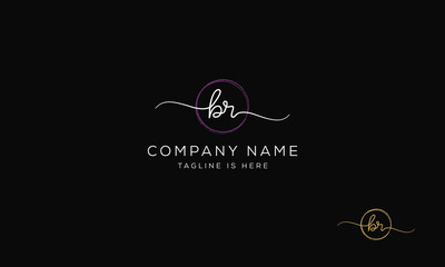 BR RB Signature initial logo template vector

