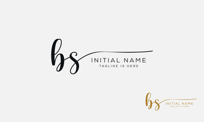BS SB Signature initial logo template vector

