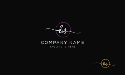 BS SB Signature initial logo template vector
