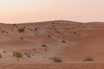 Orange sands desert resort in the Empty Quarter (Rub' al Khali) area of Abu Dhabi, United Arab Emirates