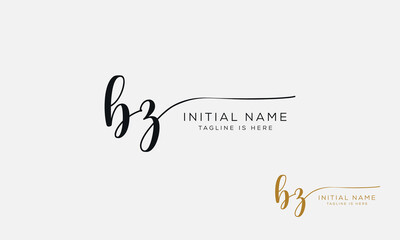 BZ ZB Signature initial logo template vector