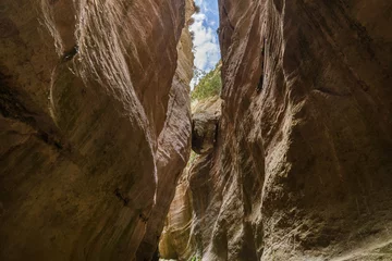 Foto op Plexiglas Avakas canyon in Cyprus island at Paphos © Nikolai Sorokin