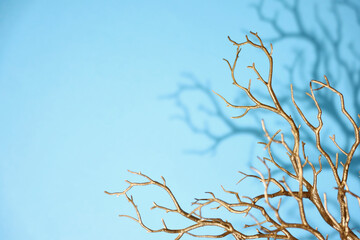 Christmas Tree Branch