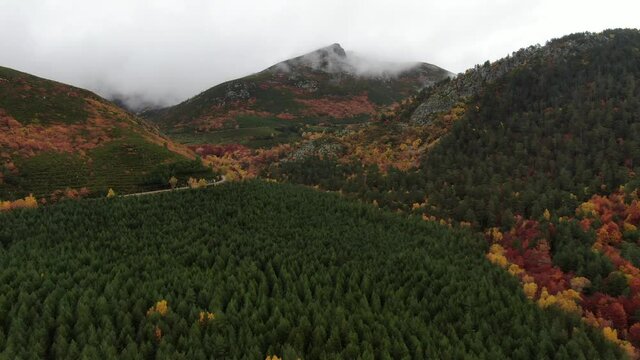 Beautiful mixed forest in autumn. Pinar de Lillo, Le&oacute;n following the road of Puerto de las Se&ntilde;ales. 4K Dolly In aerial footage.