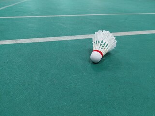 Close-Up Of Shuttlecock In Court